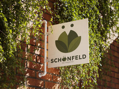 Schönfeld Tee - 2023